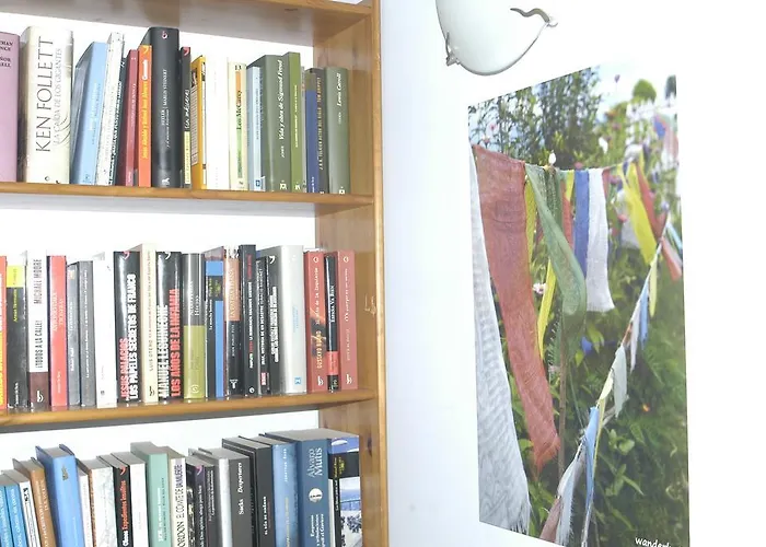 & Gym Relise - Juvenil 桑特柳伊斯