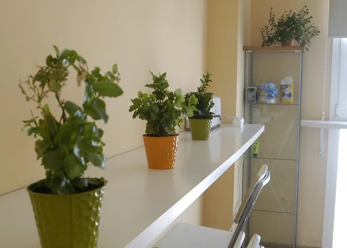 & Gym Relise - Juvenil